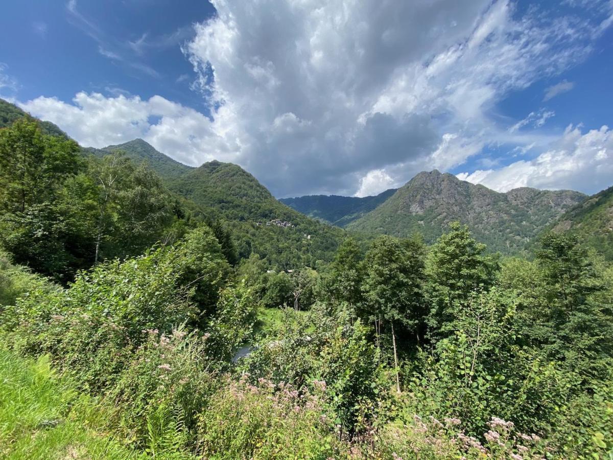 ואראלו Mountain Cabin Valsesia Appartement Stella מראה חיצוני תמונה